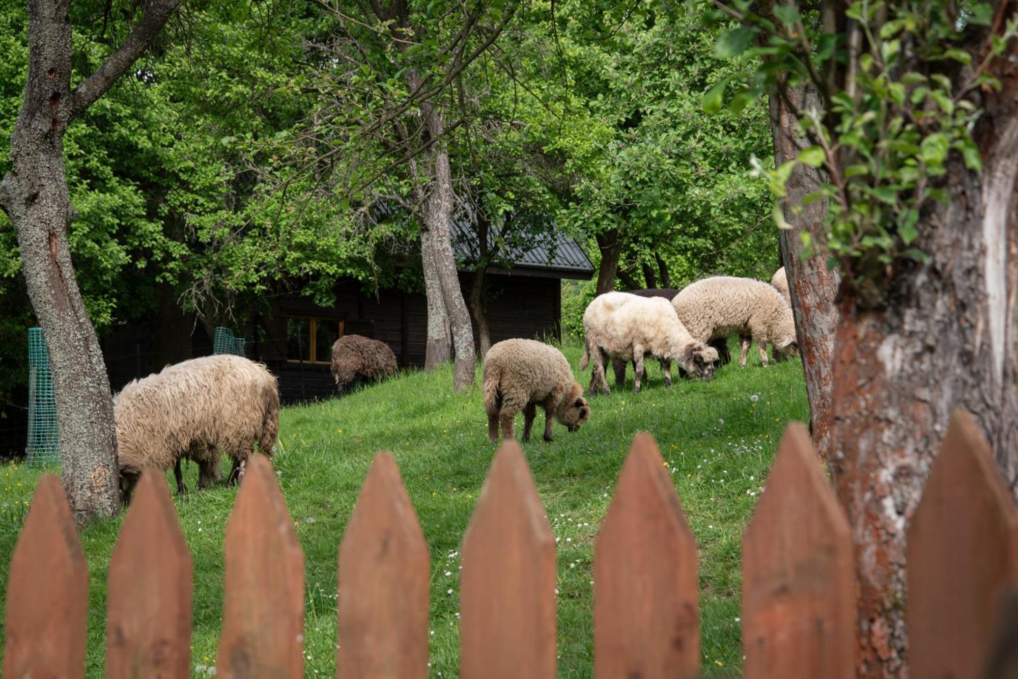 Domek Mysliwski W Gorach Ujsoły Exterior foto
